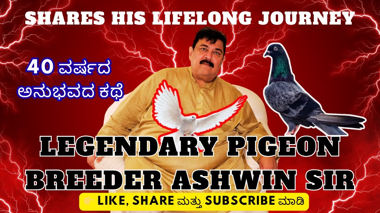 Ashwin Sir Pigeon Experience Part 2 | Secrets of Successful Pigeon Breeding | Pigeon Pulse