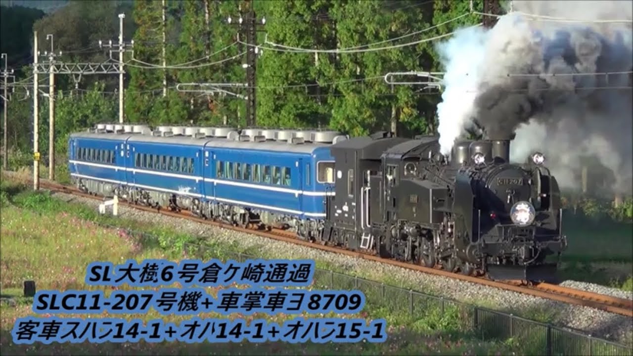 【初撮影】SL大樹6号倉ヶ崎SL広場C11-207号機+車掌車ヨ8709+客車スハフ14-1+オハ14-1+オハフ15-1通過