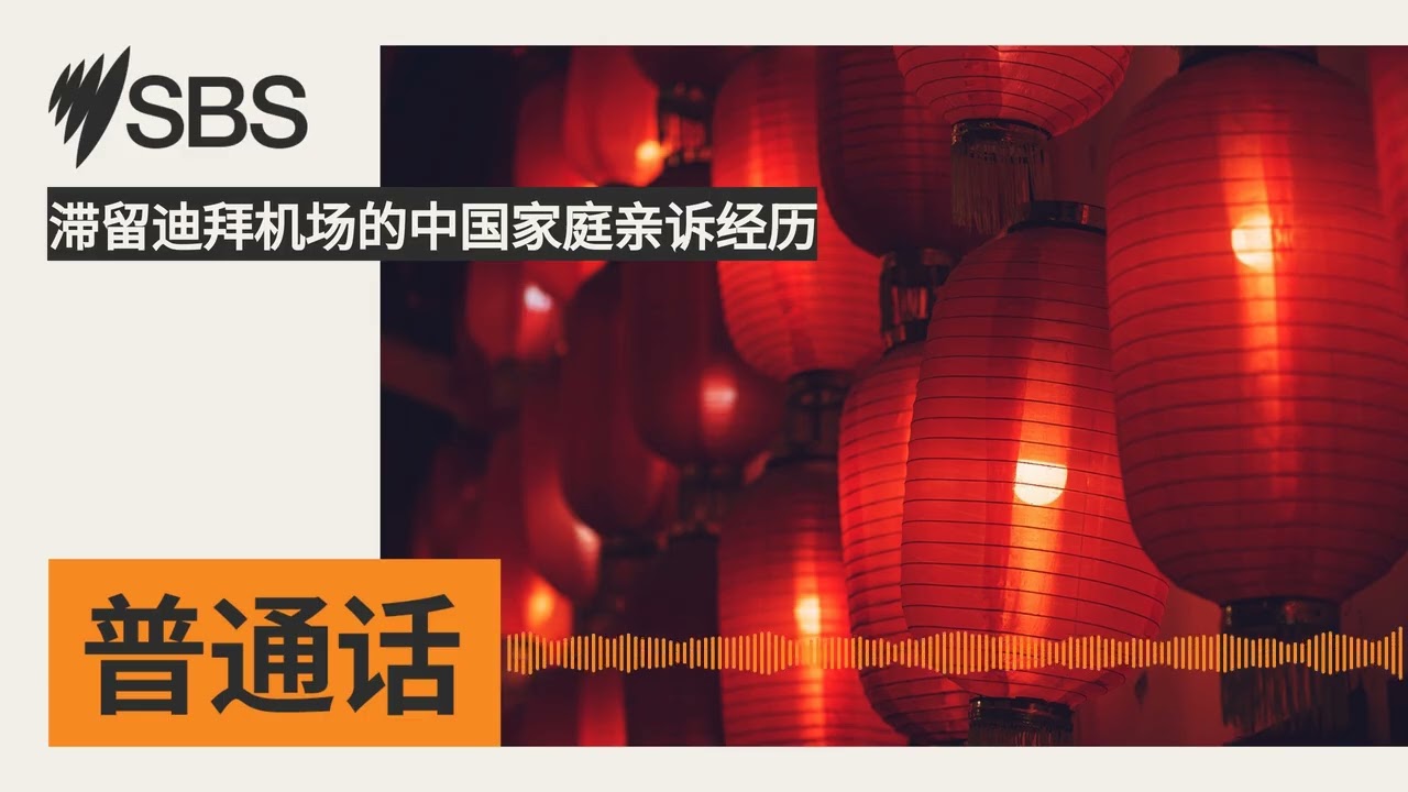 滞留迪拜机场的中国家庭亲诉经历 | SBS Mandarin - SBS 普通话电台