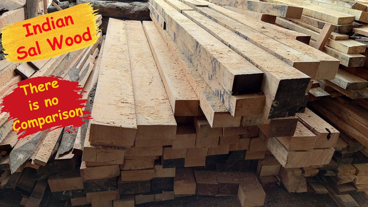 Sal Wood Sawing  II  Best Quality Indian Sal Wood