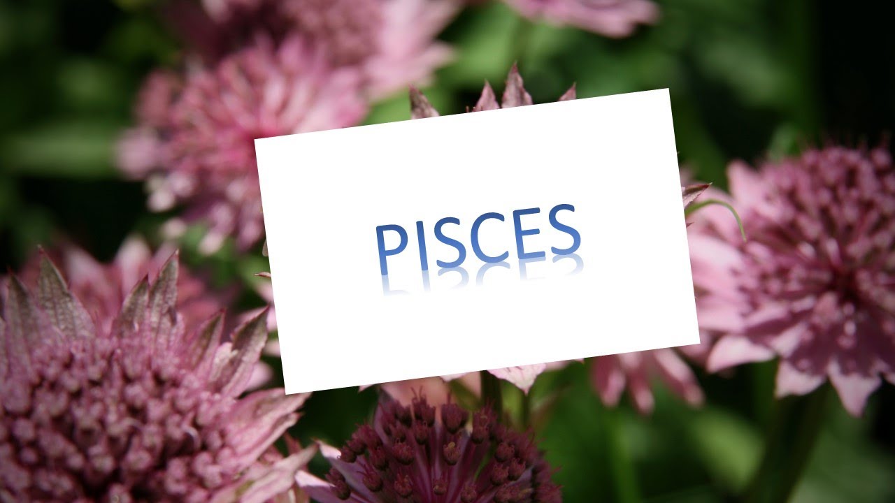 PISCES 💖 JUNE 2024 ☀️ LOVE Sun Astrology Reading 🍀 Zodiac Horoscope Singles | Couples