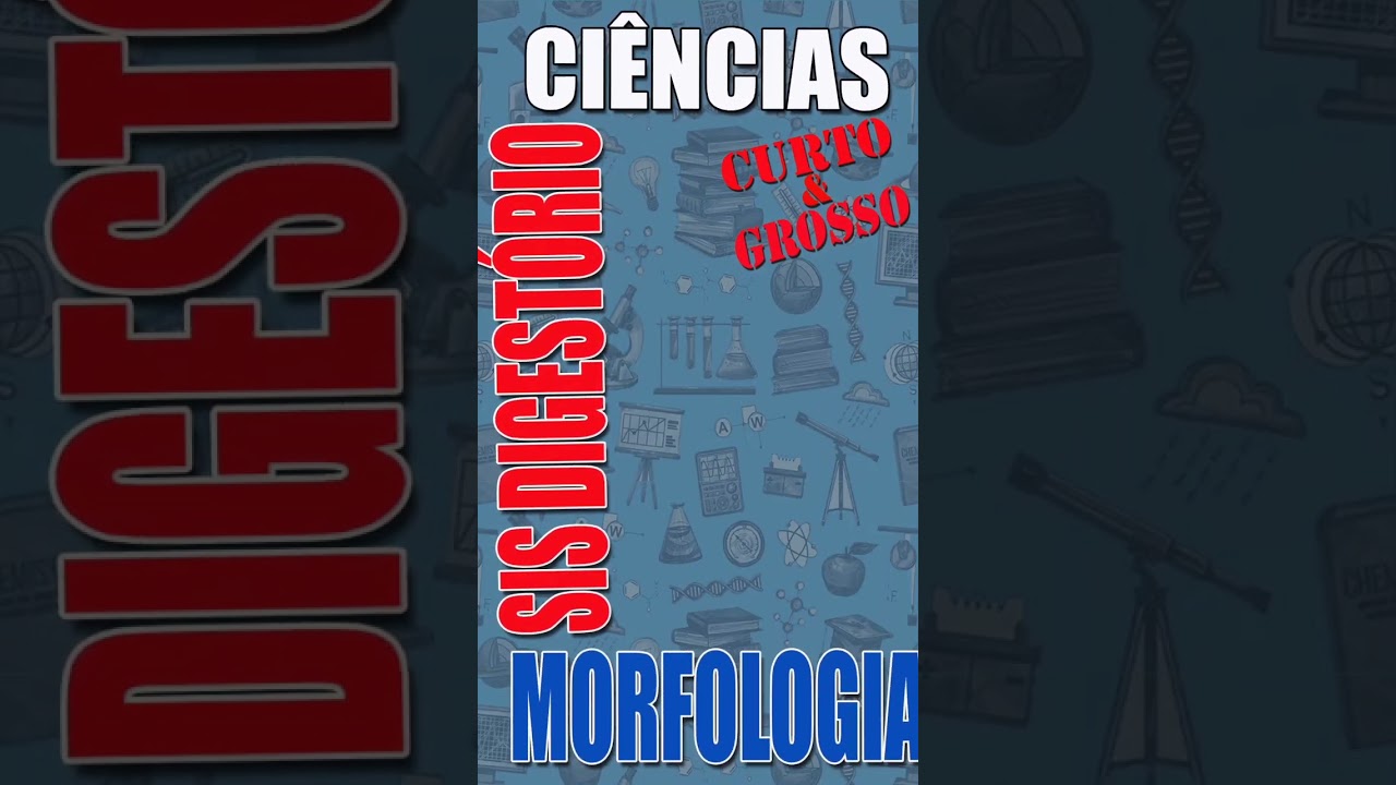 S&eacute;rie sobre o Sistema Digest&oacute;rio: Morfologia B&aacute;sica