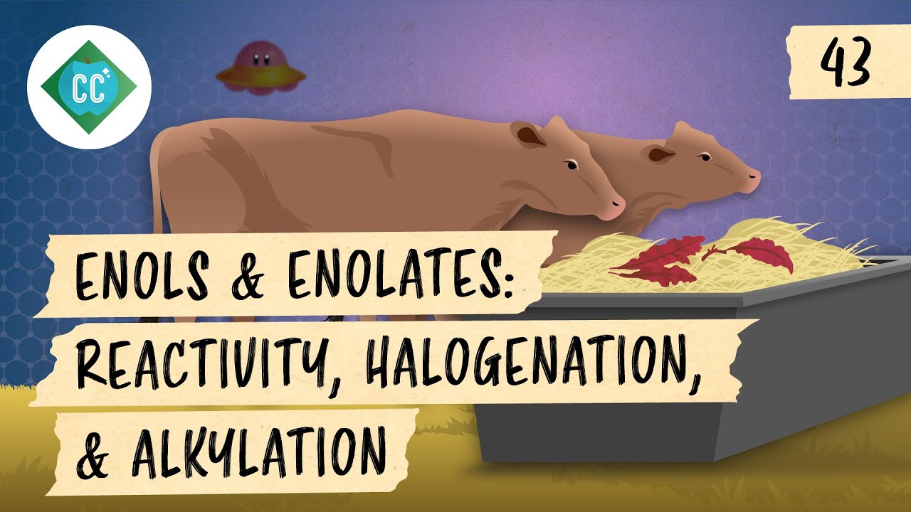 Enols and Enolates - Reactivity, Halogenation, and Alkylation: Crash Course Organic Chemistry #43