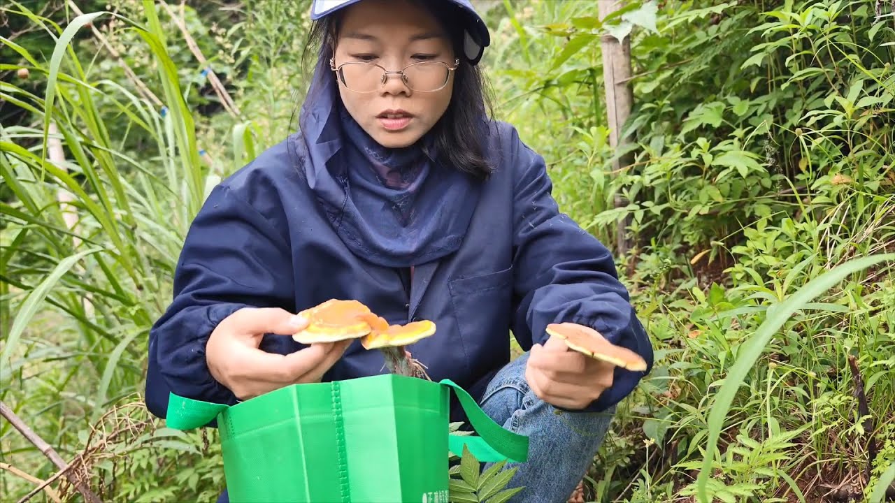 赤紅靈芝開始長了，三嫂上山還真有收穫，隨手摘一把野菜又得一餐【農人家三嫂】