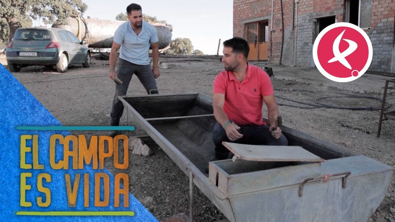 Los Mellis arreglan un bebedero que pierde agua | El campo es vida