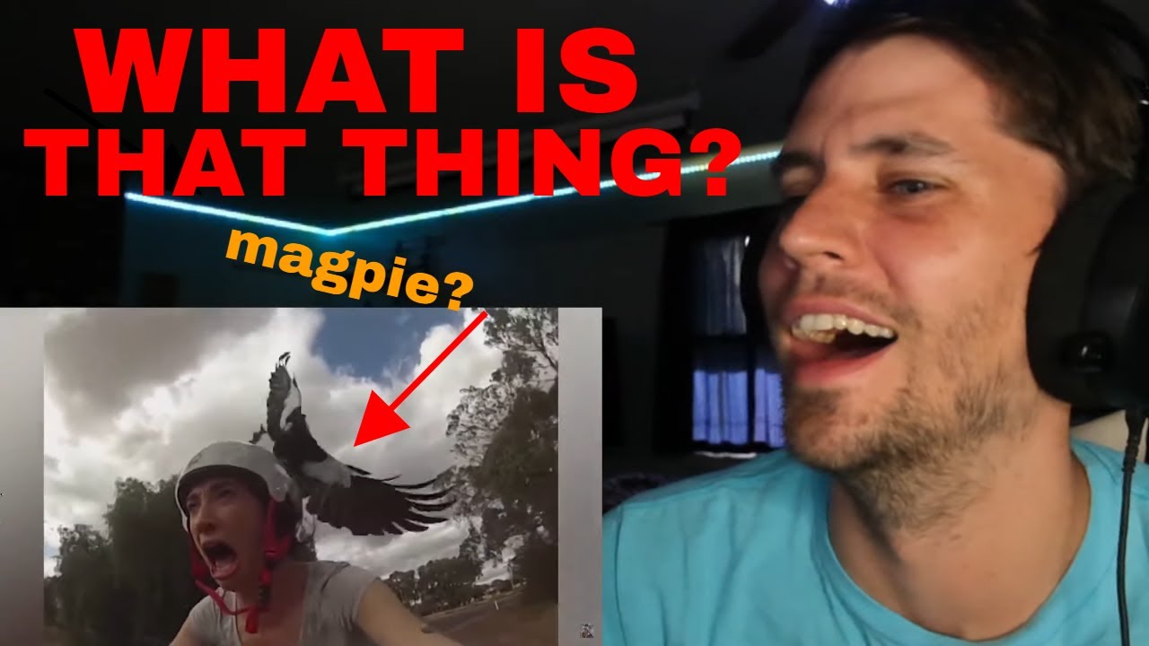 American Reacts to MAGPIES Ozzy Man Reviews