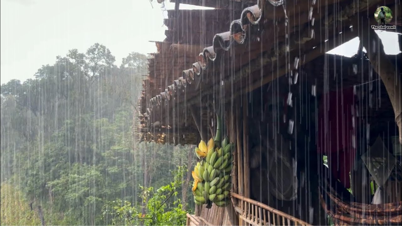 ใช้ชีวิตในป่าไร่นาEP.333 ฝนถล่มหนัก แม่มาเยี่ยมทำอาหารไห้กิน อาหารธรรมชาติ แสนอร่อย