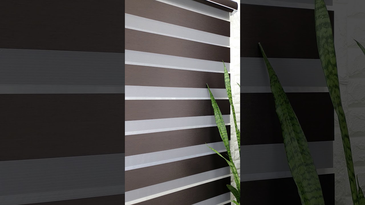 DARK ANGEL 2 TONE - BLACKOUT COMBI BLIND