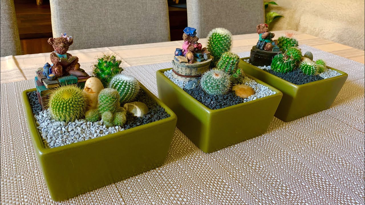 Tripple Cacti Arrangements