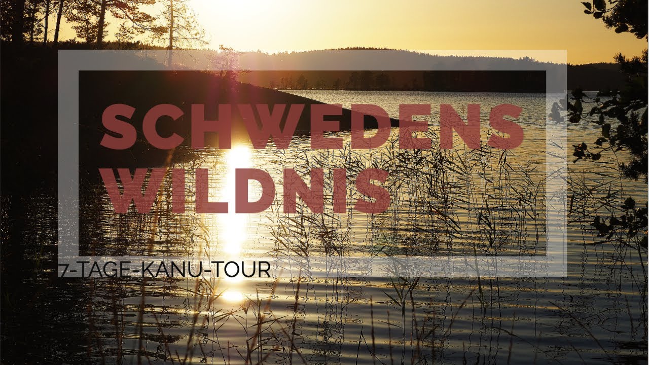 Kanutour in der Wildnis Schweden 2021 Teil 6: Pulled Pork aus den Dutch