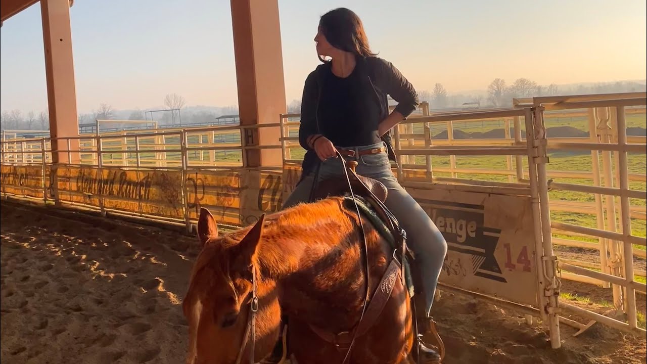 Ho preso un cavallino in fida🧡