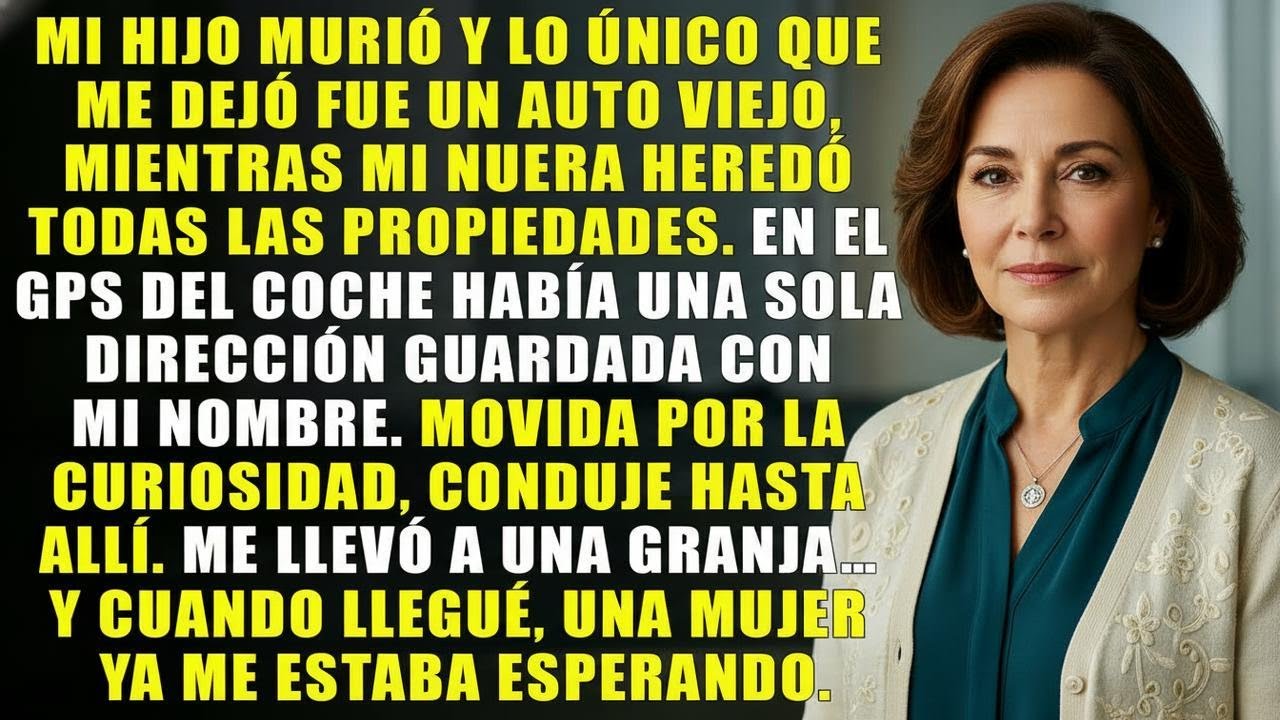 Mi hijo murió y me dejó un auto viejo, mientras mi nuera heredó todas las propiedades.Pero descubrí…
