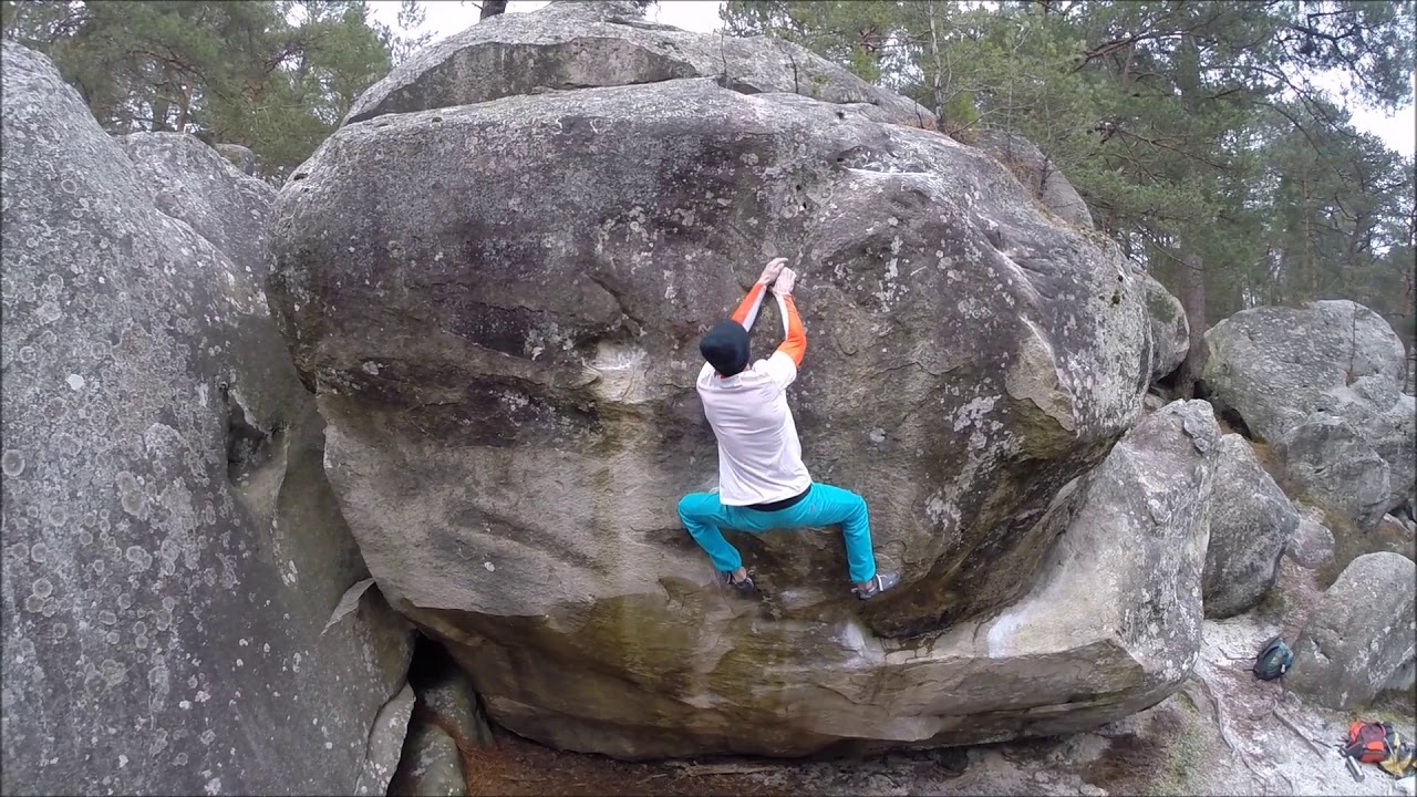 Fontainebleau diaries II