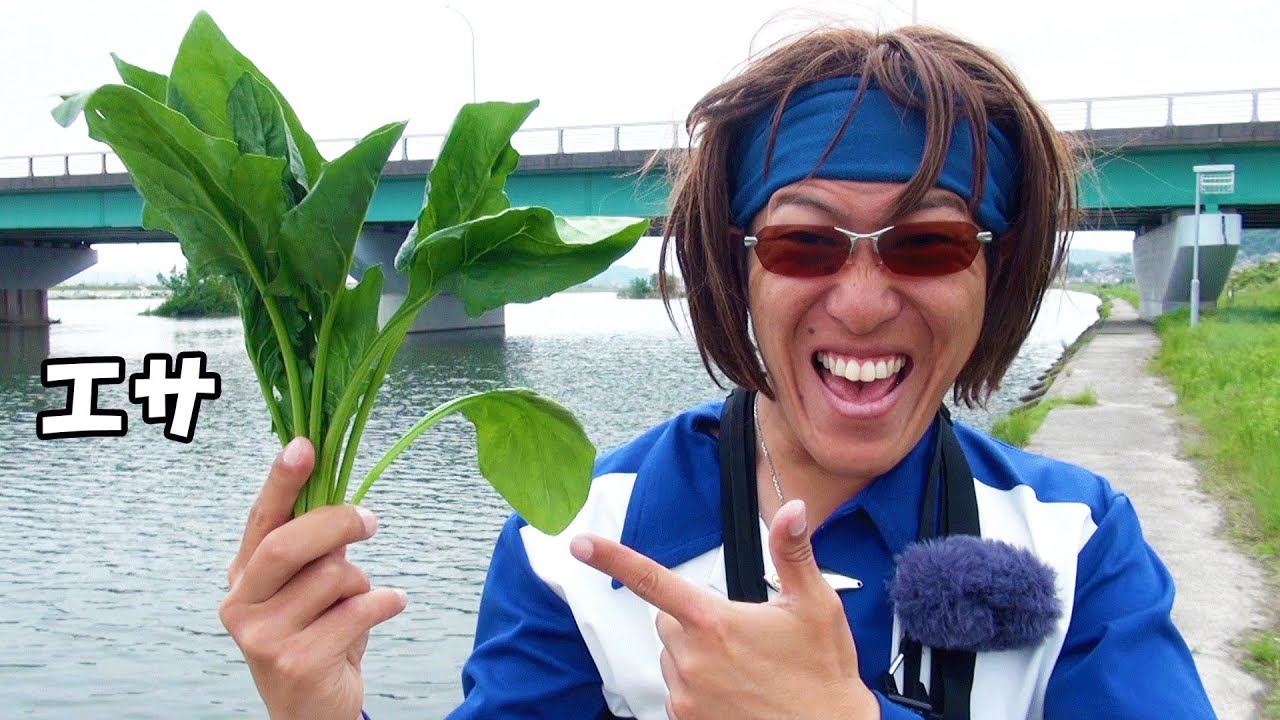 近所の川に潜む怪魚を狙え！