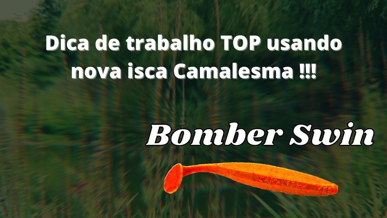 DICA DE TRABALHO DE ISCA PARA TRA&Iacute;RA - BOMBER SWIN