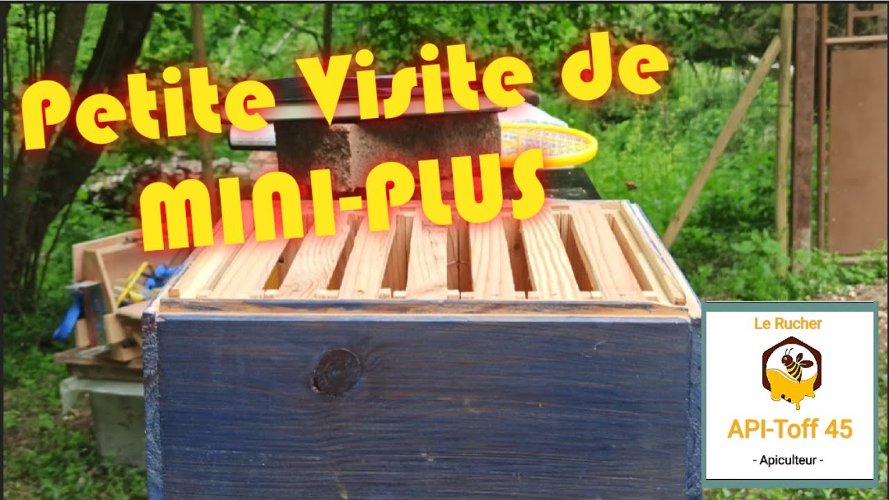 Apiculture 2021 : Visite de MINI-PLUS ou Nuclei du 12 Mai 🍯
