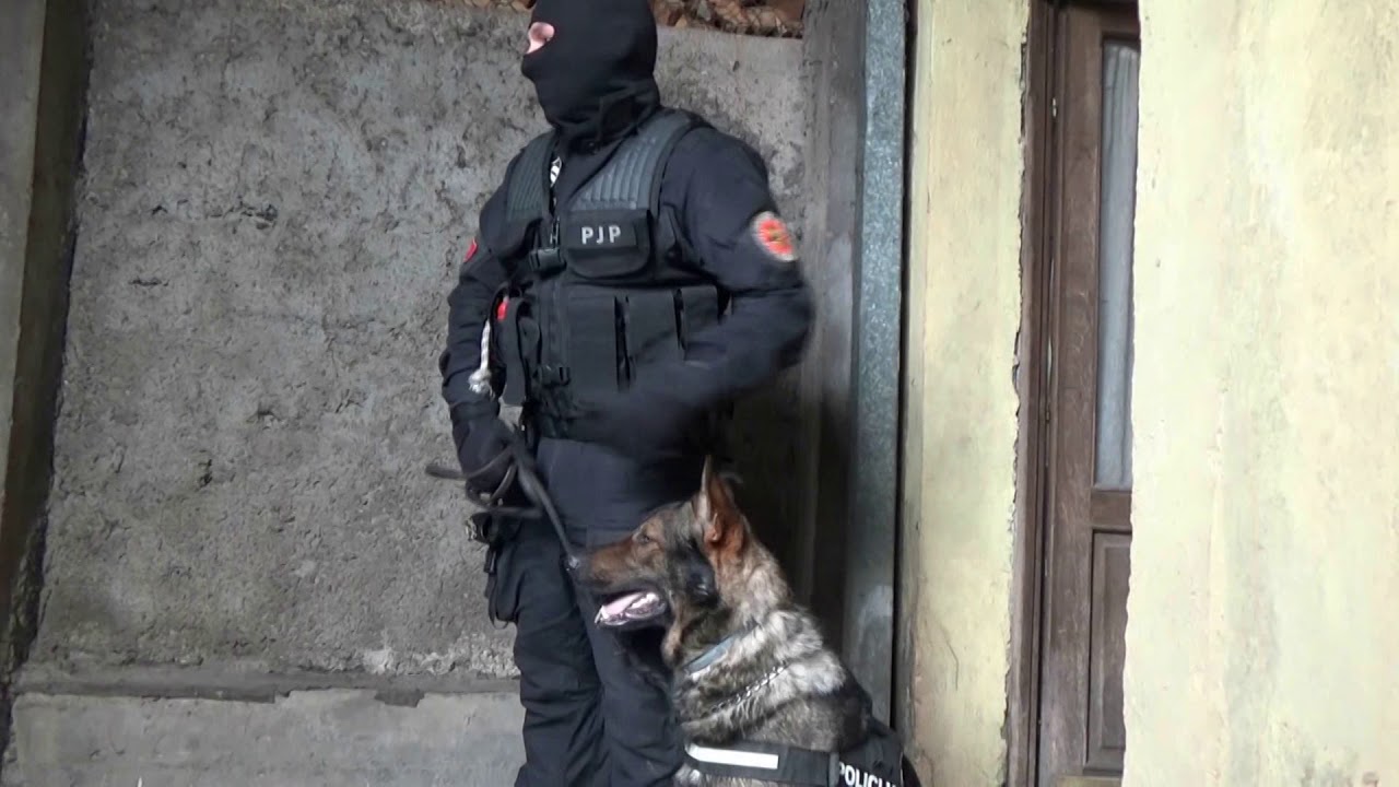 Akcija policije, pretresi na Cetinju i u Podgorici