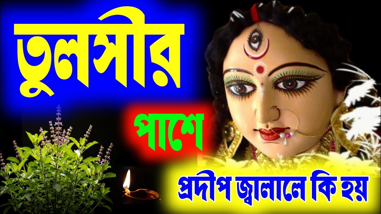 তুলসীর পাশে রোজ প্রদীপ জ্বালালে কি হয় ! জানেন কি ? 
