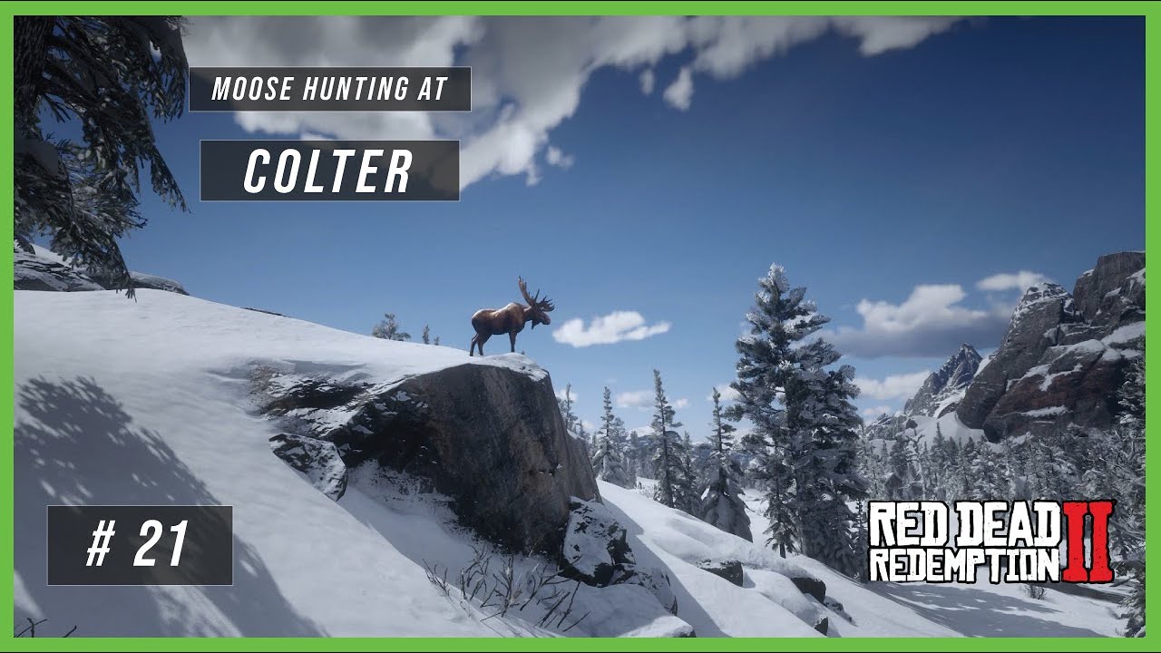 Moose Hunting at Colter!