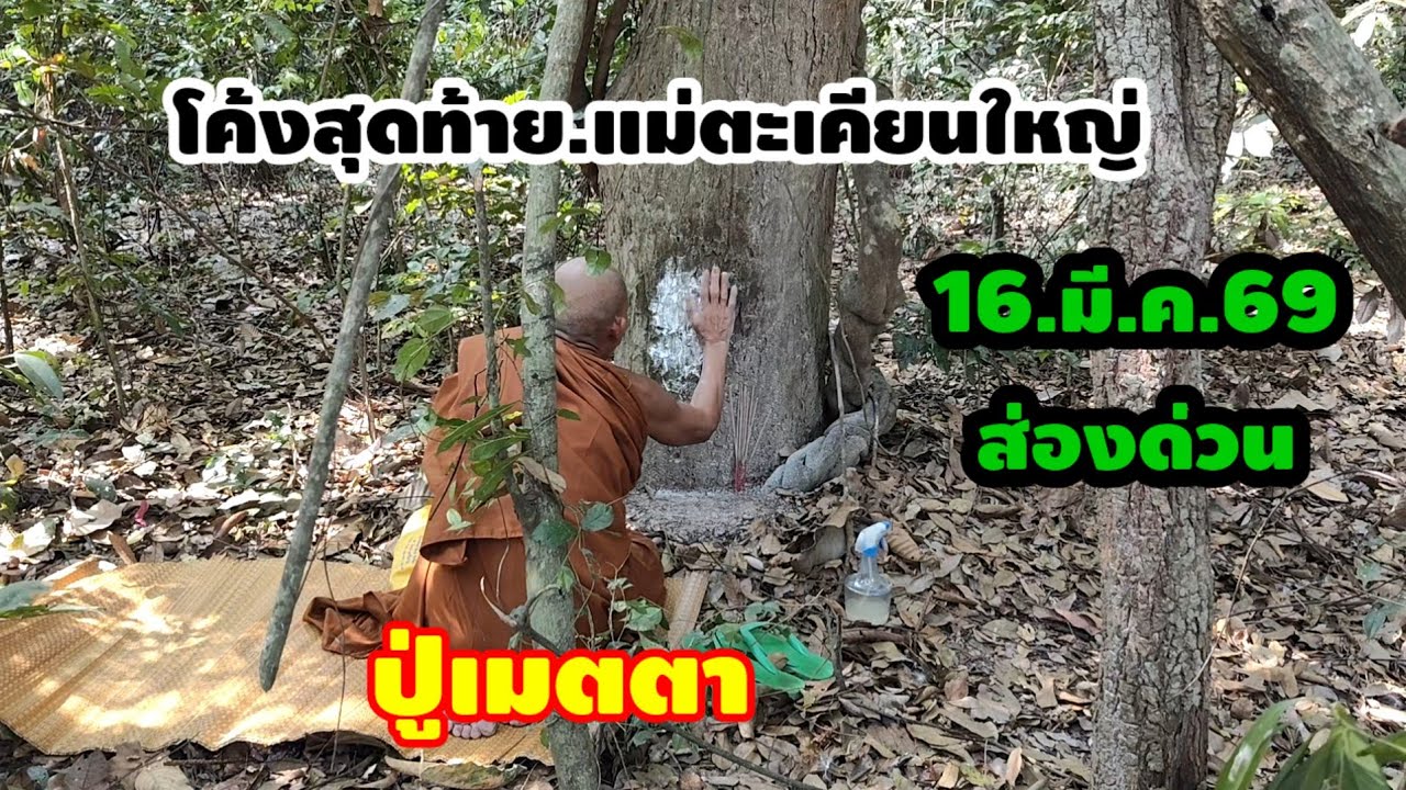 รีบดู.16.มี.ค.69.ปู่เมตตา.แม่ตะเคียนใหญ่ให้โชค.ห้ามพลาด