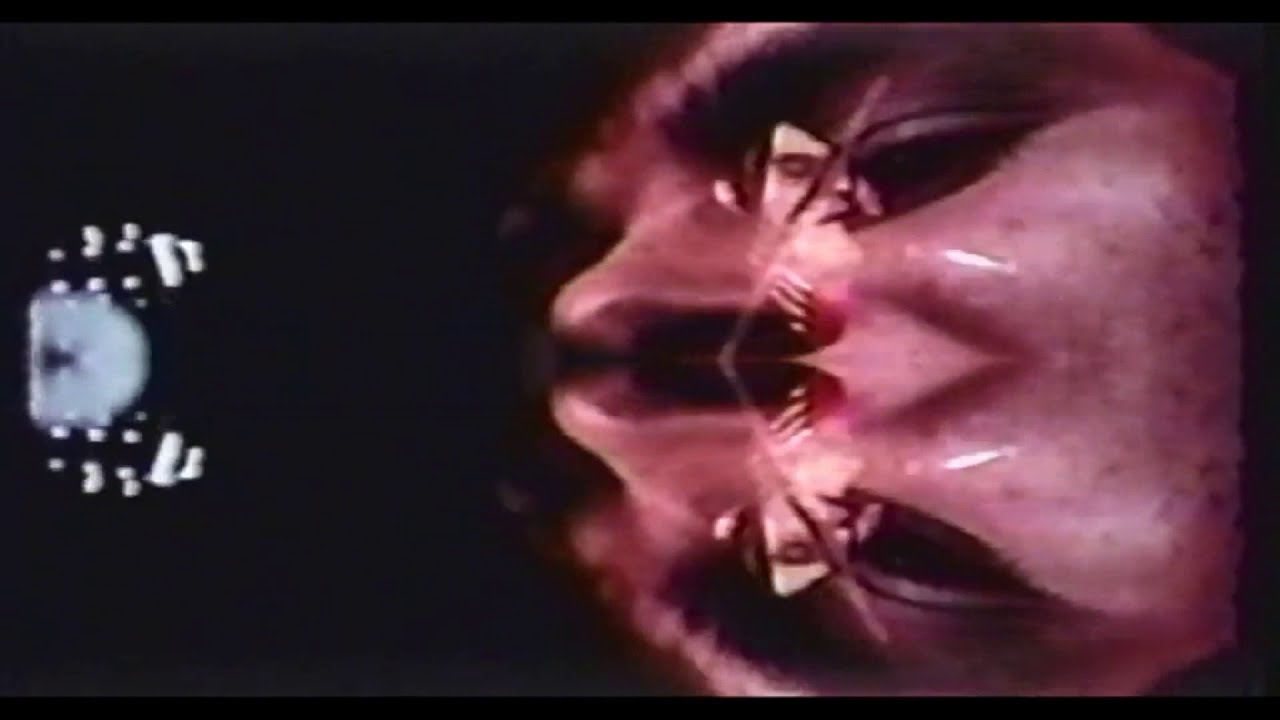 The Fifth Estate - Morning Morning  (Official Video)
