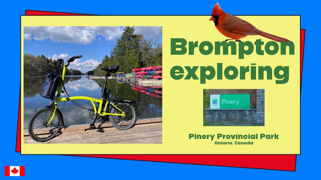 Brompton riding, a bit of birding and learning why my Osmo Pocket 3 didn't win me over for cycling