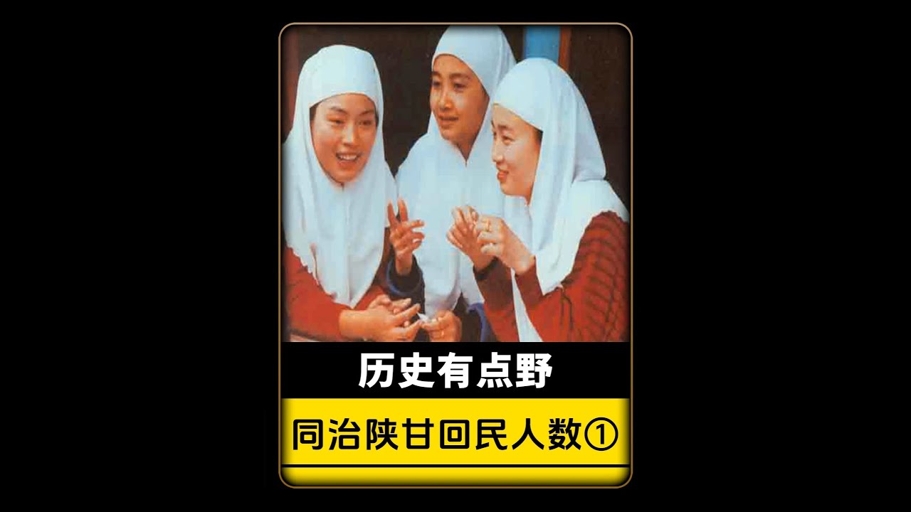 清朝陕甘回民人口（1）：同治前人数争议，族群概念起底 #陕甘回变  #清朝 #回族人口