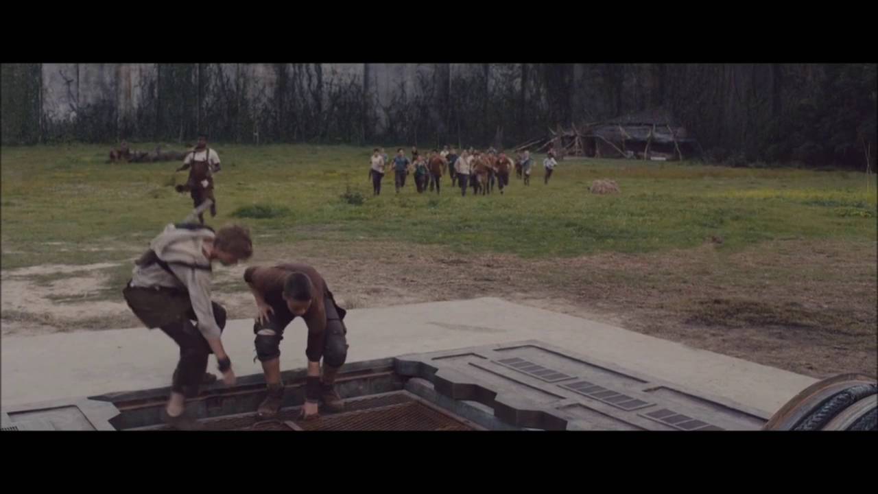 Newt the maze runner