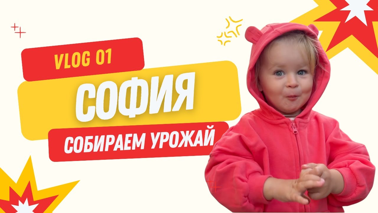 София во дворе | Первый влог | Сбор урожая
