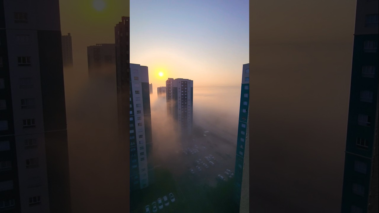 #kurdistan #kurd #süleymaniye #viral #سلیمانیه #کردستان #fog #sunrise #beautiful #views #video#vibes