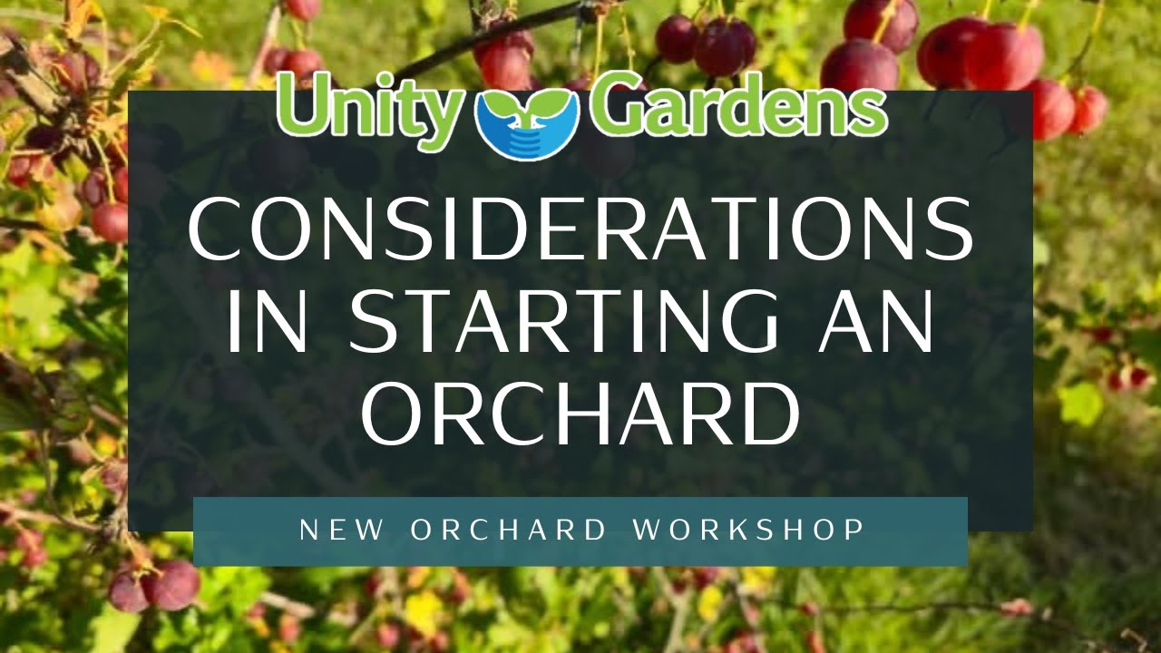 Considerations in Starting an Orchard
