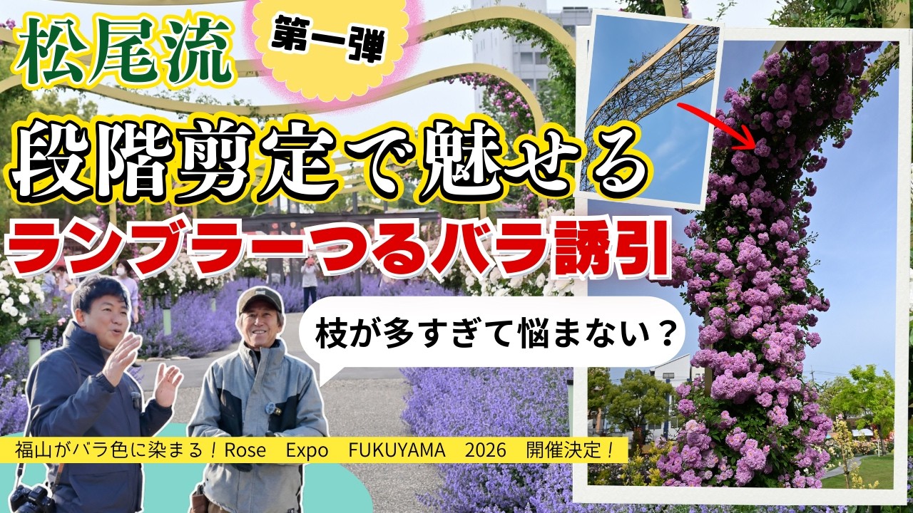 なぜ？を、なるほどに】松尾さん：第一弾【ランブラー系のつるバラの誘引術】