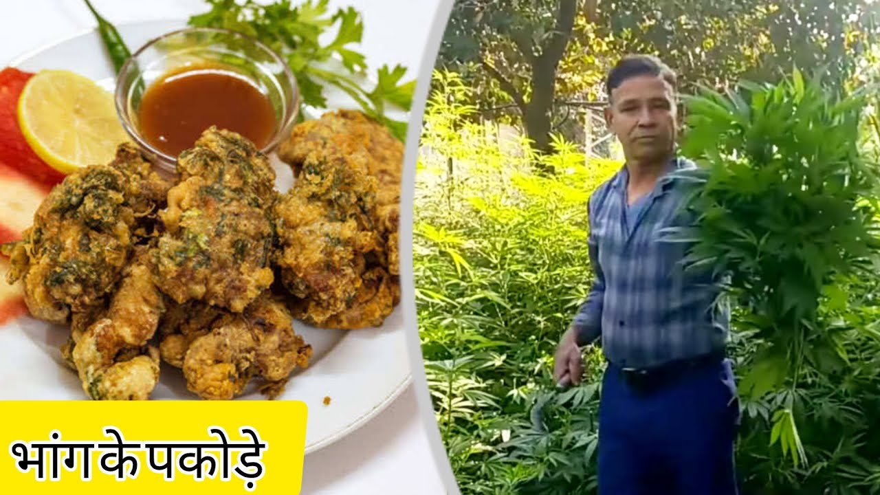 भांग के पकोड़े बनाने की सही बिधि, bhang ke pakode kaise banaye, bhang ke pakode recipe