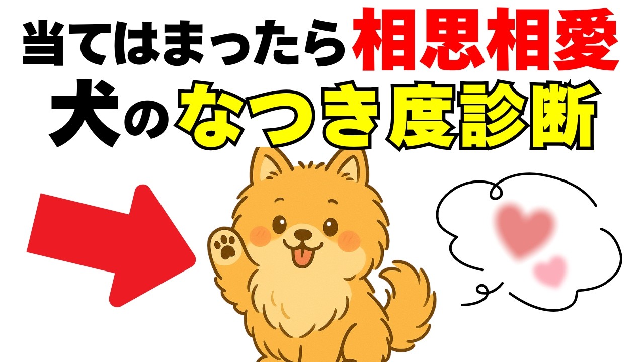 【飼い主の愛され度チェック】犬があなたを愛している15のサイン｜犬の厳選雑学