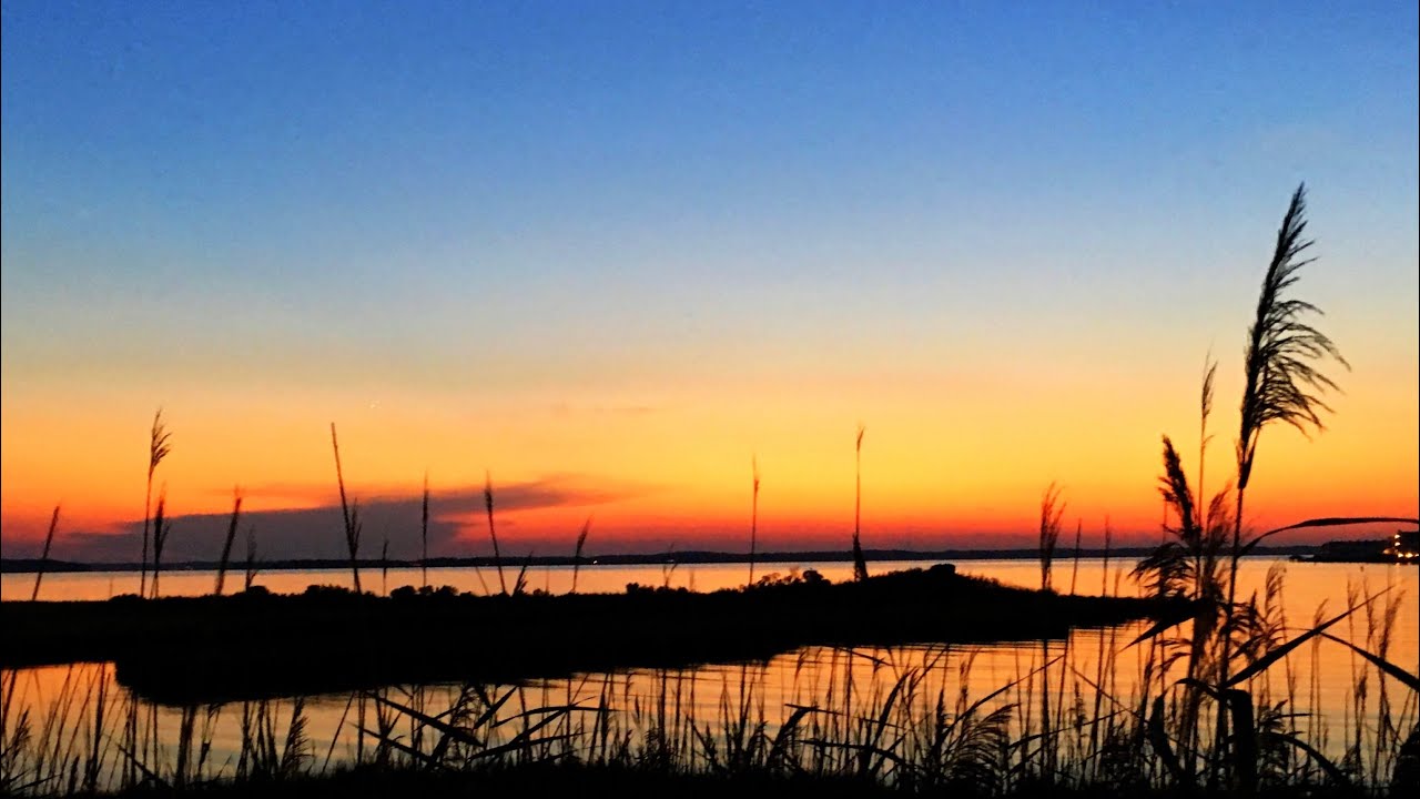 Ocean City, MD Beach & Bayside Ambiance