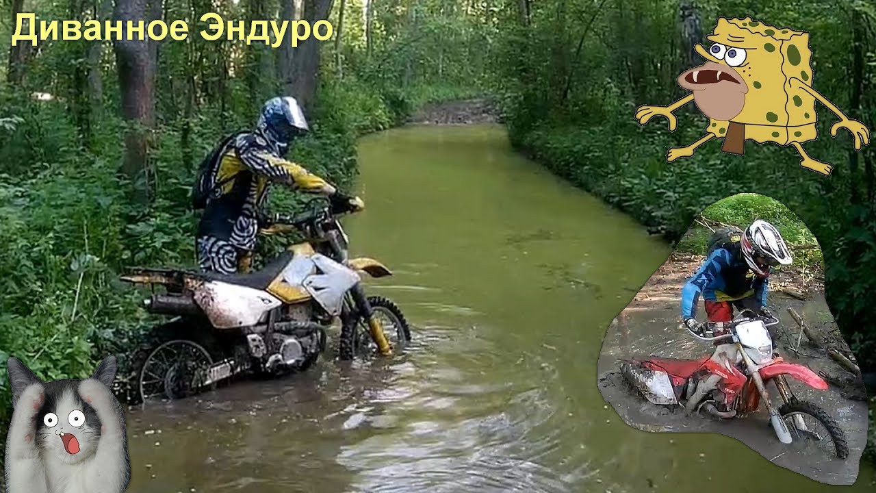 Диванный эндурист негодует, мокрые брёвна и топкий мох