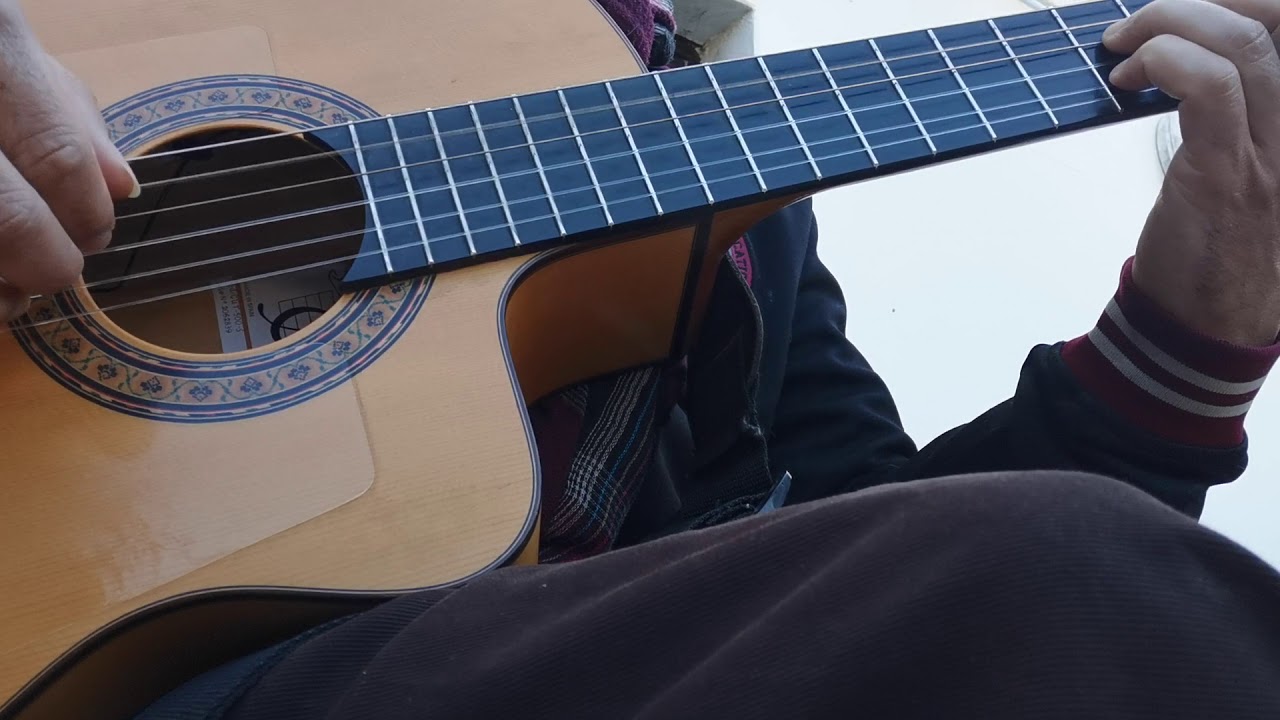 Barbara g&ouml;ttingen guitar acoustic