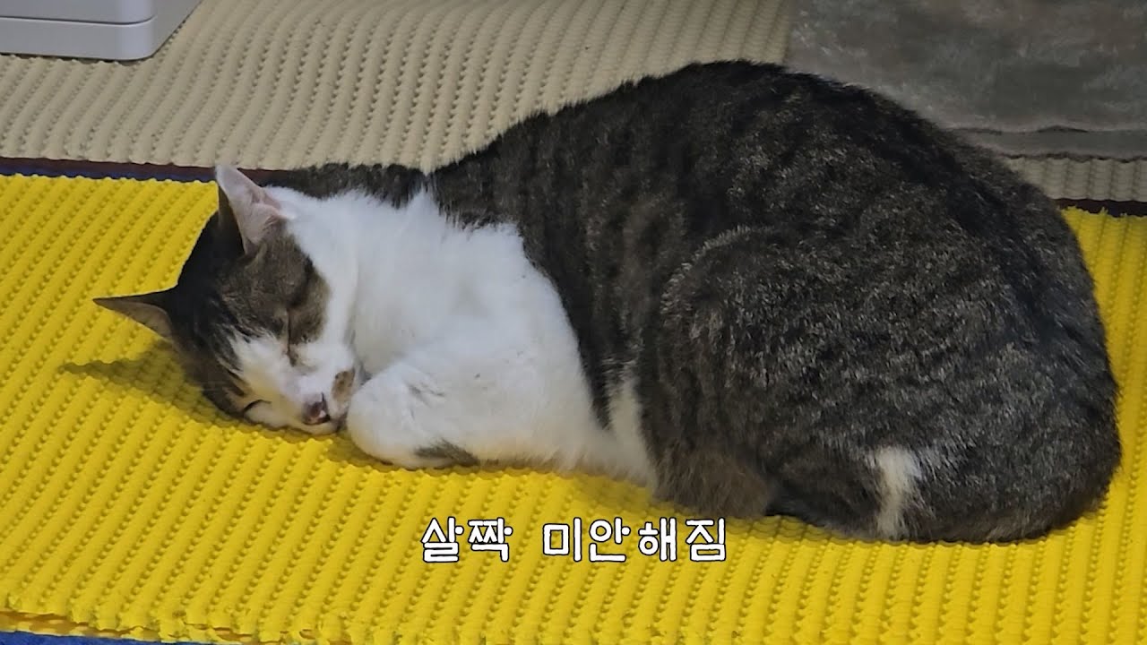 내 얼굴이 더러워?