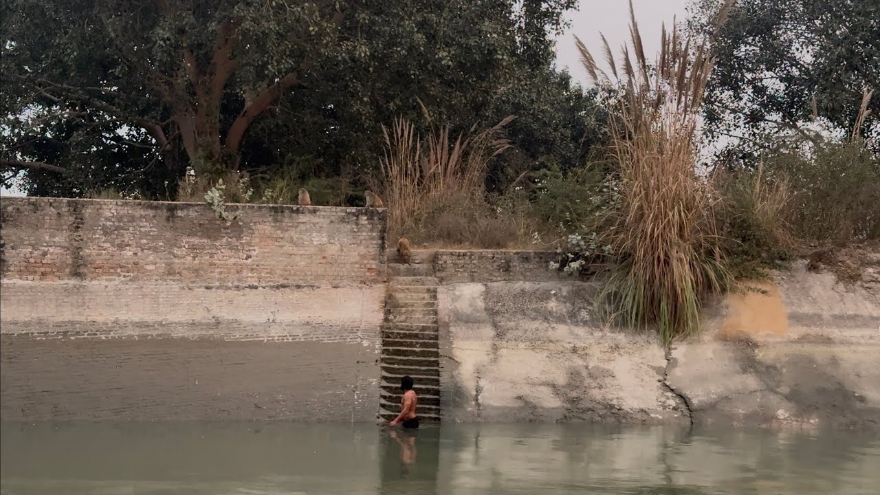 वानर सेना ने कर दिया मेरे उपर हमला|😳😳WINTER WORKOUT DAY-13.