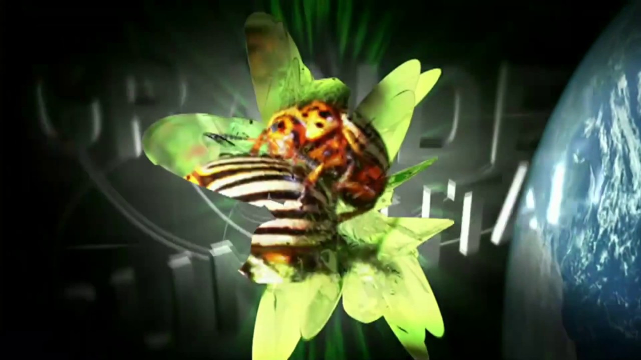 Cabecera Grandes Documentales de La 2 (2012-2019)