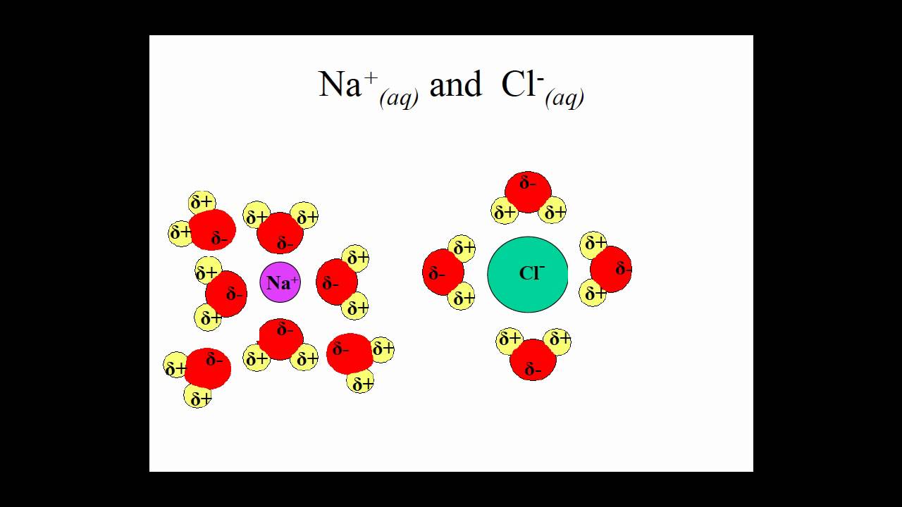 Electrolytes and Solution Basics