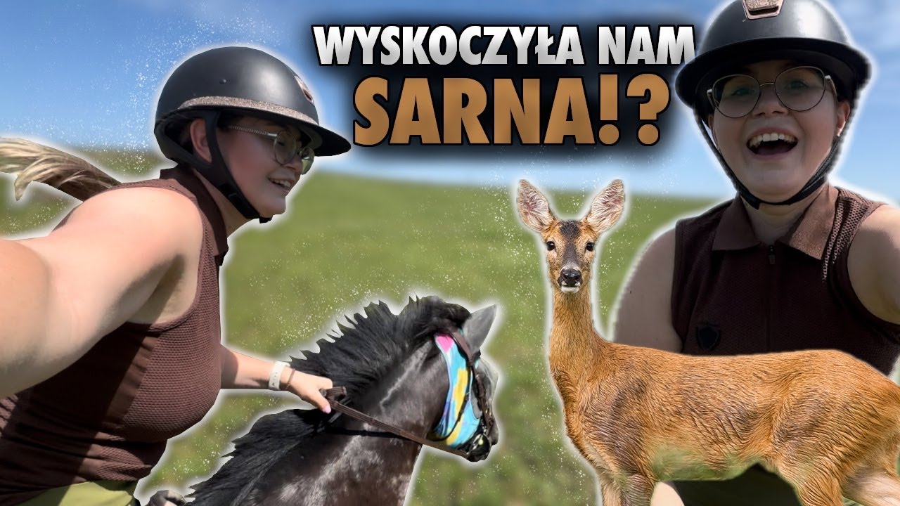 WYSKOCZYŁA NAM SARNA W TERENIE!? | POKI KULEJE? | VLOG #353