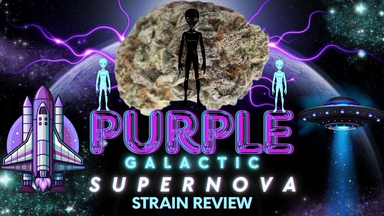🔍 &ldquo;Breaking Down Purple Galactic Supernova: Lab-Verified 34% THC Strain Review&rdquo;