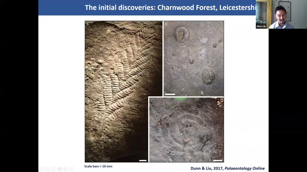 The Ediacaran Avalon biota: New insights from old fossils  - Alex G. Liu