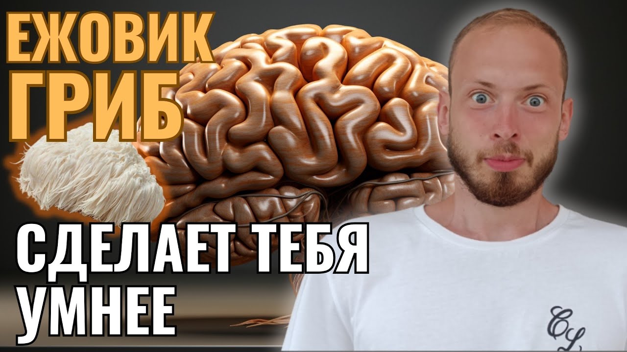 Этот гриб разгоняет мозг - круче чем любой ноотроп. Ежовик гребенчатый восстанавливает нейроны