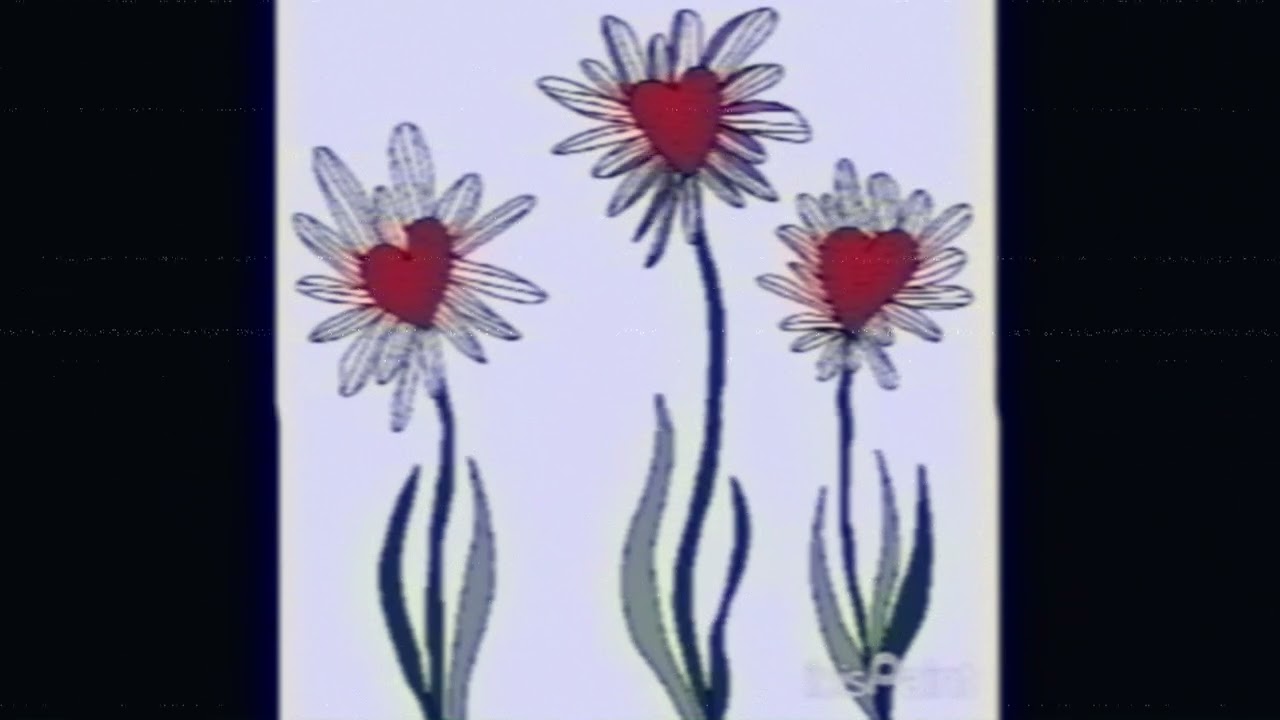 Recordings of my Drawings: Birthberry