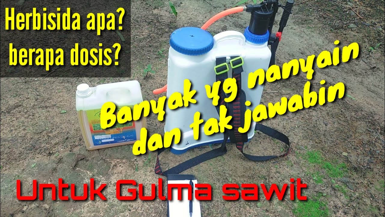 Herbisida dan dosis untuk kebun kelapa sawit@Kopi Inspirasi81
