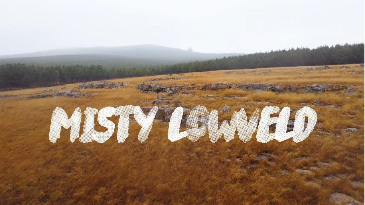 Misty Treur River & Woods | Blyde River Canyon #DJIMINI2 #4K