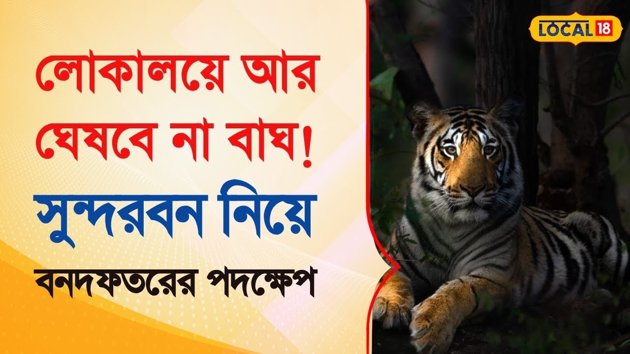 Bangla News |  এই রংবেরঙের আলোর ভয়ে লোকালয়ে ঘেষবে না বাঘ! দেখুন | Sundarban | #local18