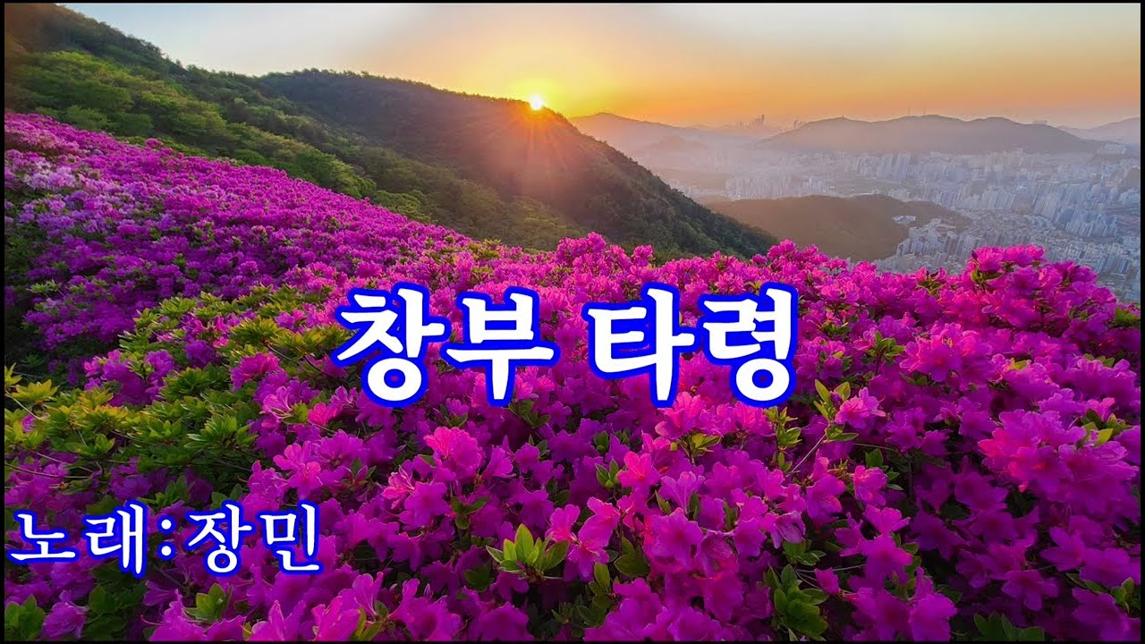 창부 타령,  노래:장민,  창부타령 가사